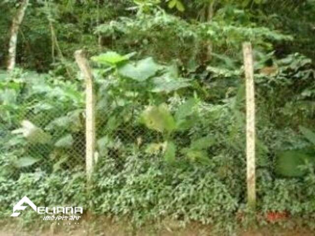 #AL1024 - Terreno para Venda em Guarujá - SP - 3